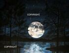 Moon above lake at Night Luna  10x8 Inch Mounted Art Print