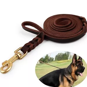 Adjustable Leather Woven Dog Leash Pet Traction Rope Oil Leather Rope DD - Picture 1 of 13