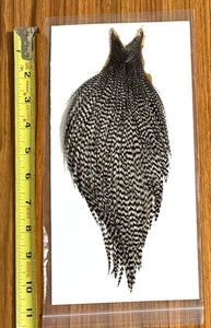 Grizzly Rooster Cape, Neck, Fly Tying, NR - Picture 1 of 1