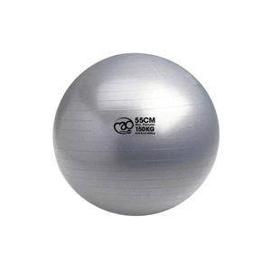 Fitness Mad - Balón Suizo de Antiexplosión - Imagen 1 de 2
