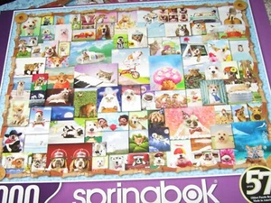 1000 Teile Puzzle 24x30 cm Hunde und Katzen beim Spielen - Bild 1 von 6