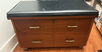 Gabinete de discos de Lane puerta abatible de cuero con ruedas excelente con llave OG Foto 1 de 4