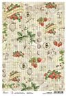 Ciao Bella Rice Paper Sheet A4 5/Pkg-Country Strawberries,Aesop's Fables CBRP193