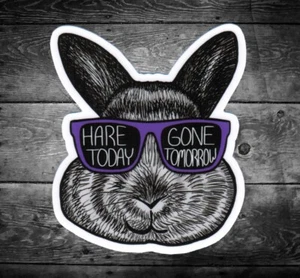 Hare Today Gone Tomorrow, Rabbit, Bun, Weed Stoner Marijuana 420 Die Cut Sticker - Bild 1 von 1