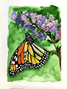 Monarchfalter auf Schmetterlingsstrauch, Buddleia, Aquarellmalerei - Bild 1 von 3