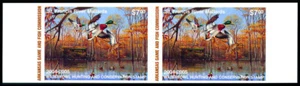 AR24P — 2004 Arkansas imperforate pair - Picture 1 of 1