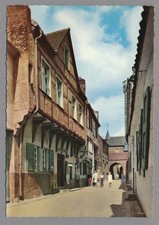 255288) AK Rheinstrasse Zons bei Dormagen