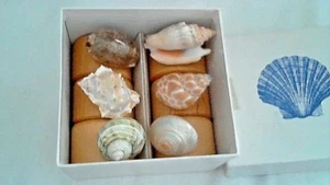 Juego de 6 seis carcasas diferentes anillos de servilleta nuevos en caja - Imagen 1 de 2
