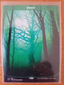 Forest Magic The Gathering Rare Unstable 216 Green Full Art Showcase MTG Land - Bild 1 von 2