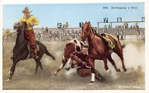 Postal: Vaqueros Bulldogging a Steer, de colección WB 1920 sin publicar - Imagen 1 de 2