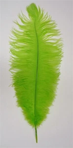 Lime Ostrich Feather Seconds 12-14 per SIX (6) - Picture 1 of 2