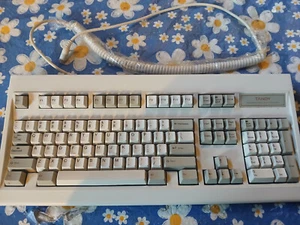 Tandy RadioShack Mechanical Clicky Enhanced Keyboard 101 Keys PS/2 Beige TESTED - Picture 1 of 11