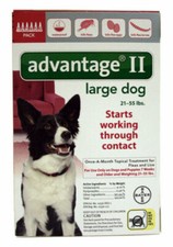 buy advantage for dogs