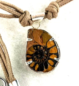 FOSSIL AMMONITE NECKLACE - Adjusts 16 - 18" - Picture 1 of 6