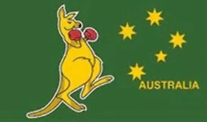 BOXING KANGAROO (SMALL FLAGS) - Picture 1 of 5