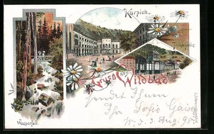 Lithographie Wildbad, Kurplatz, Trinkhalle, Wasserfall 1898  - Picture 1 of 2