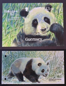 Guernsey Briefmarken: "Gefährdete Arten - Riesenpanda" postfrisch Präsentationspaket 2013 - Bild 1 von 6