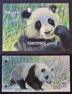 Guernsey Stamps: "Endangered Species - Giant Panda" MNH Presentation Pack 2013 - Image 1 of 4
