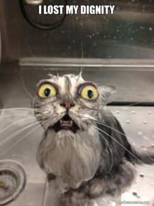 Meine Würde - Bild 1 von 2