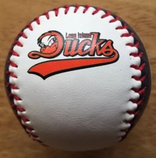 Long Island LI Ducks Baseball ⚾️ SGA Yellow Dog Lawn Service Promo Advertising