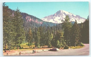 Cartolina Mount Rainier National Park Washington Verdant Longmire Campground - Foto 1 di 3