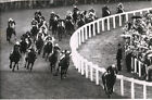 C.1956 Photo - Horse Racing The Derby At Epsom Lavandin Winner