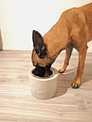 Hundenapf schwer Betonnapf ca. 5 kg. Beton und Edelstahlnapf erhöht Fressnapf - Bild 1 von 4