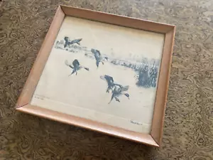 Rice Field Pintails Art 1934 Richard E. Bishop 9.5" X 10" Reproduction - Picture 1 of 6