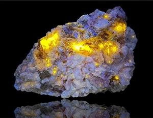 246 Gramm gut abgeschlossene fluoreszierende phosphoreszierende Apatit Kristalle auf Albit - Bild 1 von 9