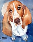 Basset Hound Dog 11x14 art signé IMPRIMÉ RJK peinture
