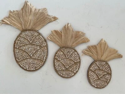 Shell Raffia & Rope Pineapple Wall Hangings (Set 3) Coastal Tropical Decor - image 1 of 4