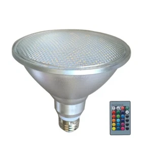 Changing Light for Painting Artwork PAR38 20W Low Voltage Landscape Light - Picture 1 of 8