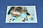 AK Postkarte Katze  - Happy Day - Glückwunschkarte
