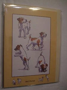 CARTE + ENVELOPPE - chien JACK RUSSEL - Picture 1 of 1