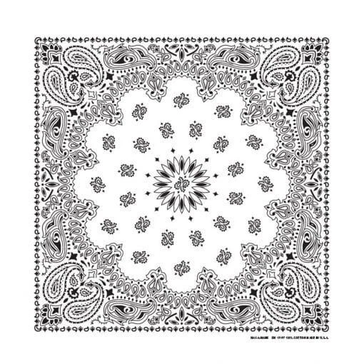 Pañuelo Paisley Blanco 22x22, Hecho en EE. UU., Hav-A-Hank Foto 1 de 1