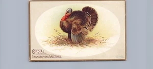Signed Ellen Clapsaddle Cordial Thanksgiving Greetings Thanksgiving Postcard - Picture 1 of 2