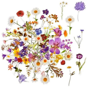 Blumen Scrapbooking Aufkleber 120 Stück Vintage Pflanzen Wasserfeste Fotoalbum - Bild 1 von 2