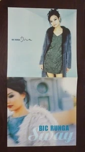 Bic Runga Drive LP Schallplatte Foto flach 12x24 Poster - Bild 1 von 2