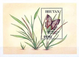 👉 MARIPOSAS Y FLORES BUTAN 1990 S/S #5 MNH INSECTOS - Imagen 1 de 1