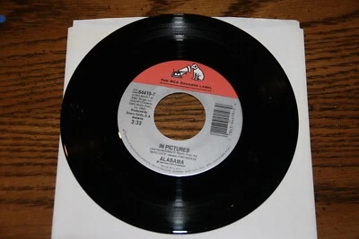 ALABAMA VINYL 45 IN PICTURES B/W BETWEEN THE TWO OF THEM NEW UNPLAYED - Image 1 of 2