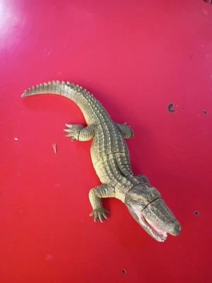 Vintage 4D Fame Master Puzzle ALLIGATOR - Image 1 of 3