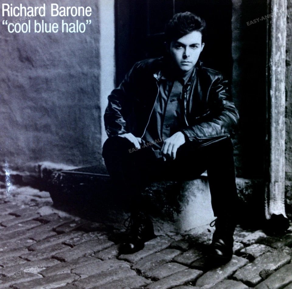 Richard Barone - Cool Blue Halo GER LP 1989 (VG+/VG+) '* - Image 1 of 1