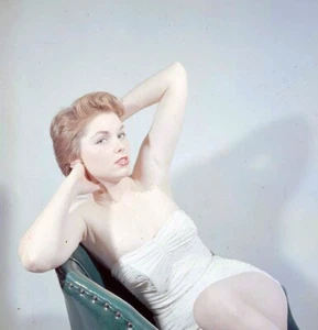 TUCKY WITTECK Original Beautiful 120 Pin-Up Swimsuit Transparency FLATOW vv - Picture 1 of 1