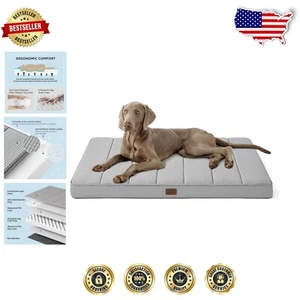 Luxurious Cooling Orthopedic Dog Bed - Waterproof, Removable Cover for Easy Care - Picture 1 of 10