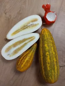 Melón Malabar - Pepino Malabar - 5+ semillas - semillas - Cu 049 - Imagen 1 de 1