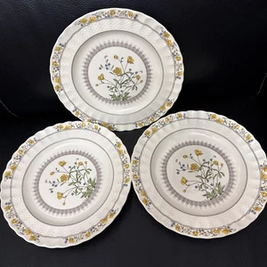3 Vintage Spode Copeland BUTTERCUP Dinner Plates Diameter 10.5" - Bild 1 von 7
