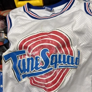Vintage 1996 Champion Tune Squad Space Jam Michael Jordan #23 Jersey Size M - Picture 1 of 8