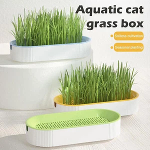 Hydroponic Cat Grass Soil-Free Planter Cat Grass Planting Box Plant Growing Kit - Picture 1 of 15