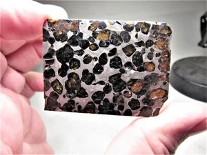 NEW PALLASITE FROM KENYA! BEST QUALITY! SERICHO PALLASITE METEORITE! 32.3 GMS - Picture 1 of 6