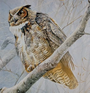 Robert Bateman Great Horned Owl Vintage Wildlife Book Plate Art Print 22 - Picture 1 of 4